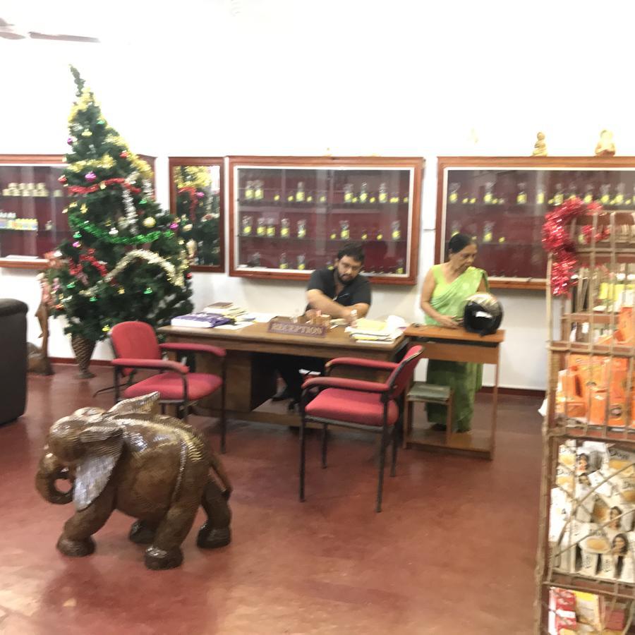 Srilanka Ayurveda Hotel Hikkaduwa Εξωτερικό φωτογραφία